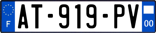 AT-919-PV