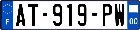 AT-919-PW