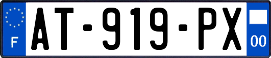 AT-919-PX