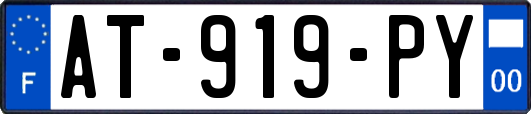 AT-919-PY