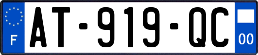 AT-919-QC