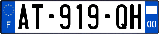 AT-919-QH