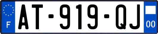 AT-919-QJ