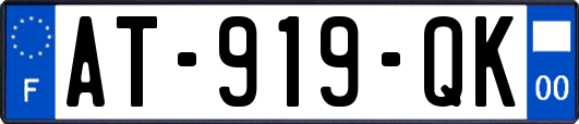 AT-919-QK