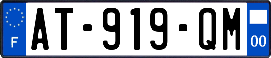 AT-919-QM