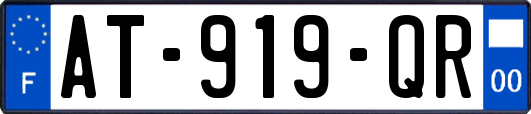 AT-919-QR