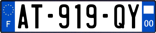 AT-919-QY