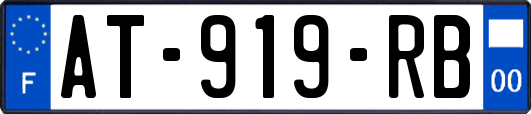 AT-919-RB