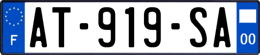 AT-919-SA