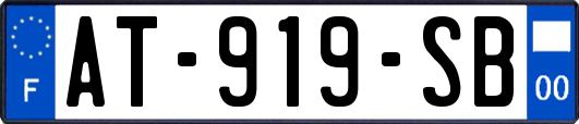 AT-919-SB