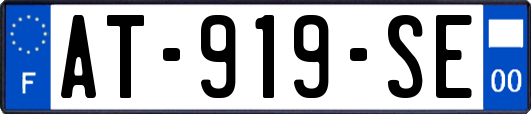 AT-919-SE
