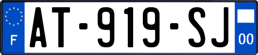AT-919-SJ