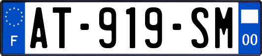 AT-919-SM