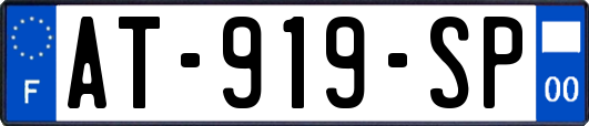 AT-919-SP