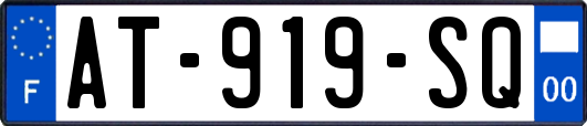 AT-919-SQ