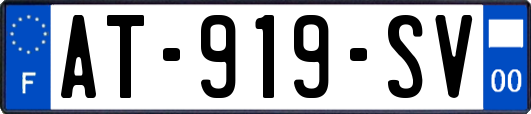 AT-919-SV