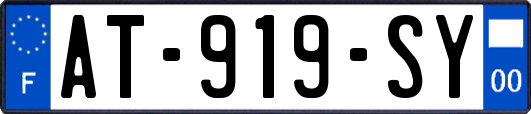 AT-919-SY