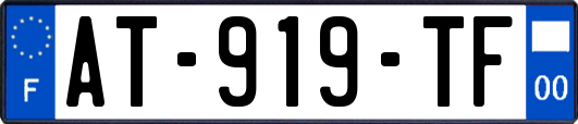 AT-919-TF