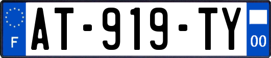 AT-919-TY