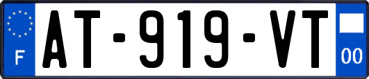 AT-919-VT