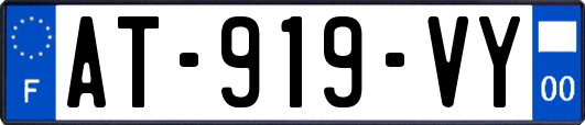 AT-919-VY