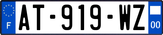 AT-919-WZ