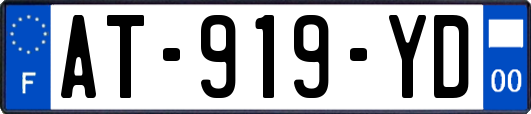 AT-919-YD