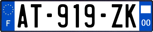 AT-919-ZK