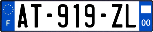 AT-919-ZL