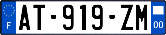 AT-919-ZM