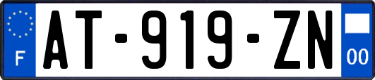 AT-919-ZN