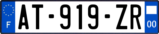 AT-919-ZR