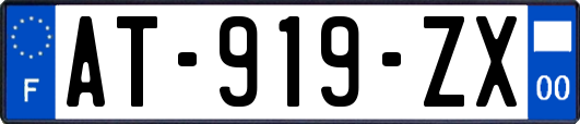 AT-919-ZX