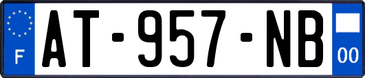 AT-957-NB