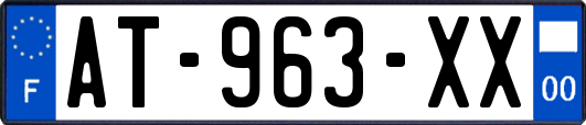 AT-963-XX