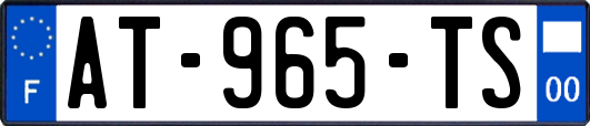 AT-965-TS