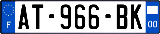 AT-966-BK