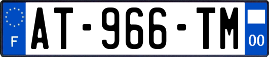 AT-966-TM
