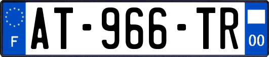 AT-966-TR