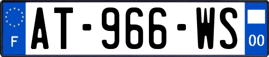AT-966-WS