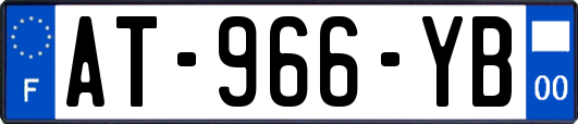 AT-966-YB