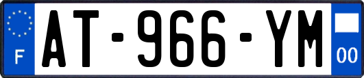 AT-966-YM