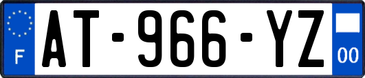 AT-966-YZ
