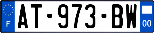 AT-973-BW