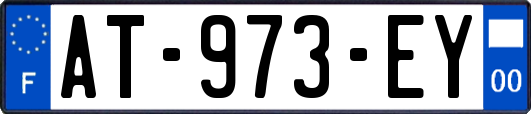 AT-973-EY