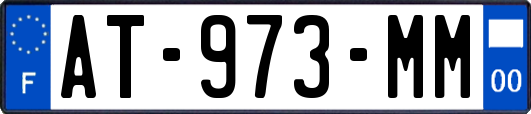 AT-973-MM