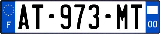 AT-973-MT