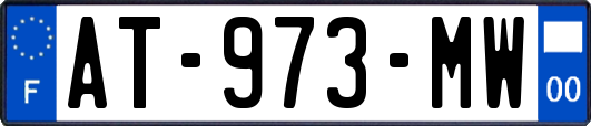 AT-973-MW