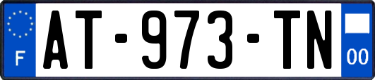 AT-973-TN