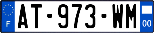 AT-973-WM